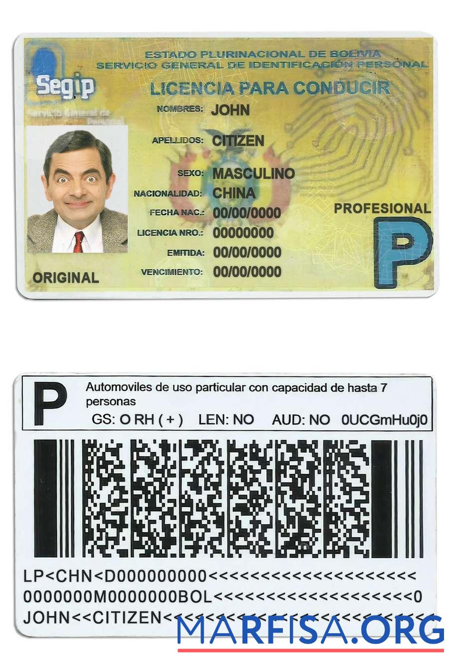 Realistic Bolivia driving license template